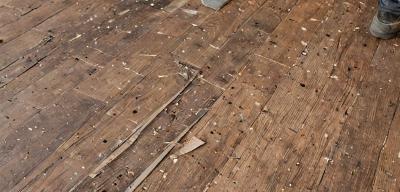 Floor removal and cleanup services